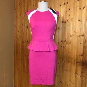 NWT Cynthia Steffe Mod Pink Pencil Dress size 4